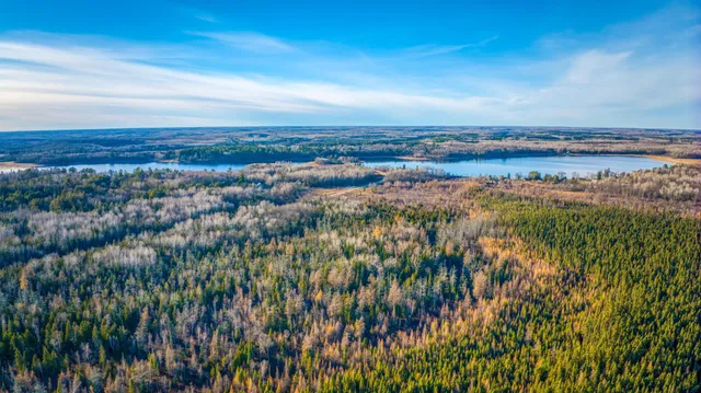 $68,000 | Xxxx Dora Lake Road, Northome, MN 56661