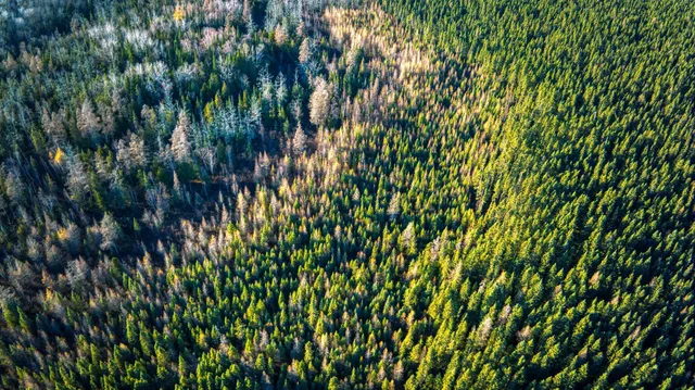 $68,000 | Xxxx Dora Lake Road, Northome, MN 56661