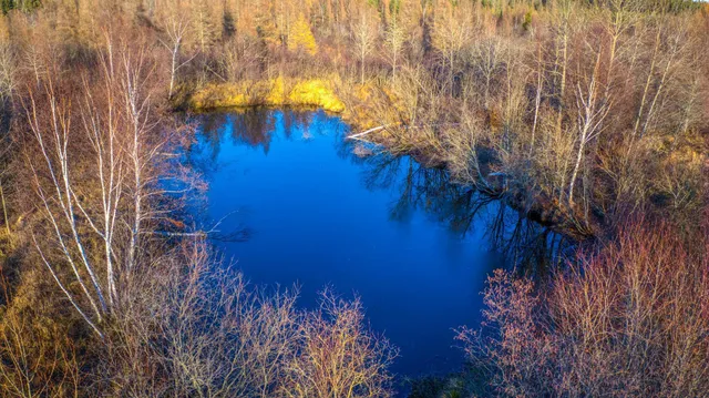 $68,000 | Xxxx Dora Lake Road, Northome, MN 56661