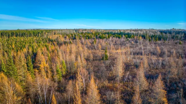 $68,000 | Xxxx Dora Lake Road, Northome, MN 56661