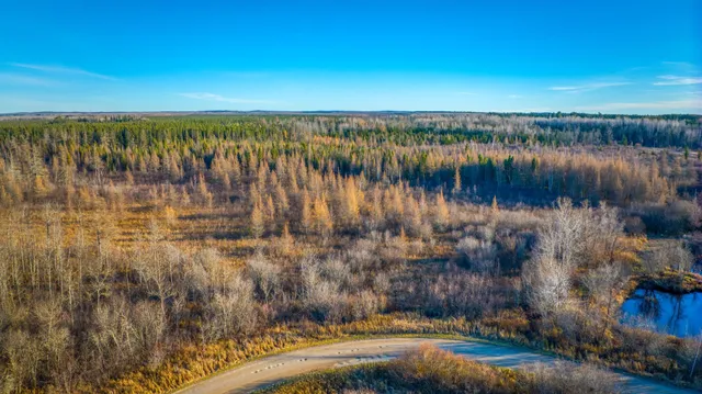 $68,000 | Xxxx Dora Lake Road, Northome, MN 56661