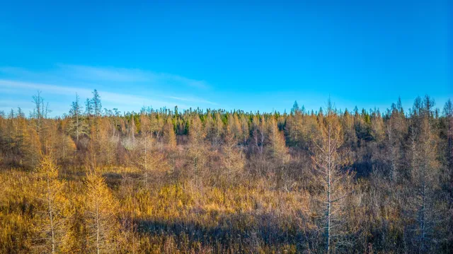 $68,000 | Xxxx Dora Lake Road, Northome, MN 56661