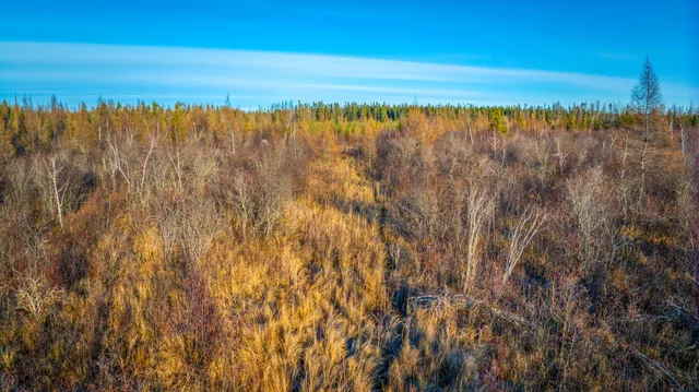 $68,000 | Xxxx Dora Lake Road, Northome, MN 56661