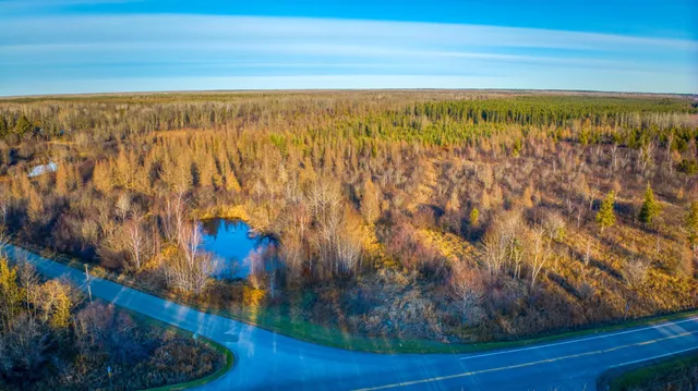 $68,000 | Xxxx Dora Lake Road, Northome, MN 56661