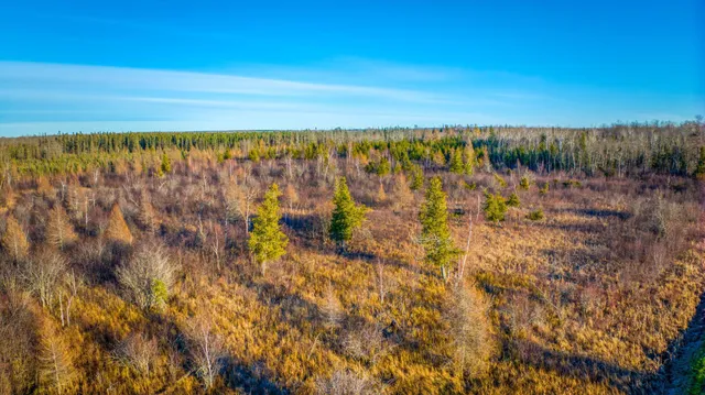 $68,000 | Xxxx Dora Lake Road, Northome, MN 56661