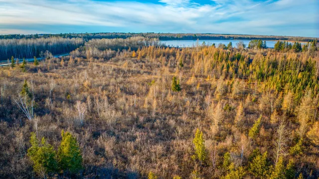 $68,000 | Xxxx Dora Lake Road, Northome, MN 56661