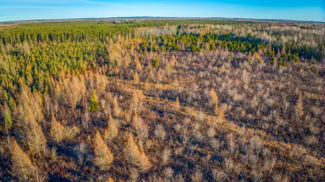 $68,000 | Xxxx Dora Lake Road, Northome, MN 56661