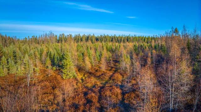 $68,000 | Xxxx Dora Lake Road, Northome, MN 56661