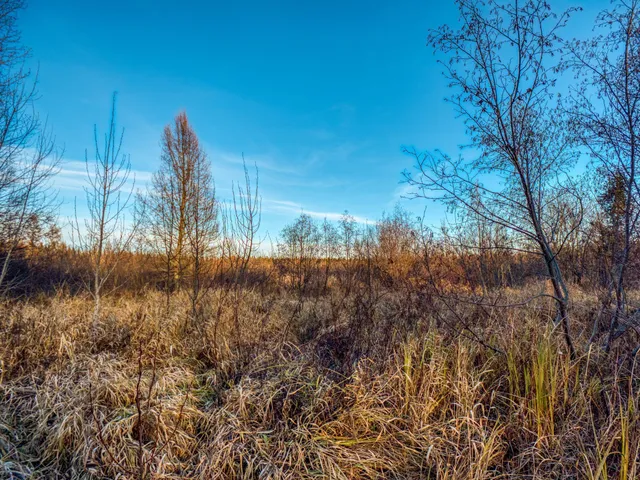 $68,000 | Xxxx Dora Lake Road, Northome, MN 56661