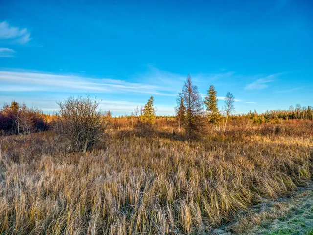 $68,000 | Xxxx Dora Lake Road, Northome, MN 56661