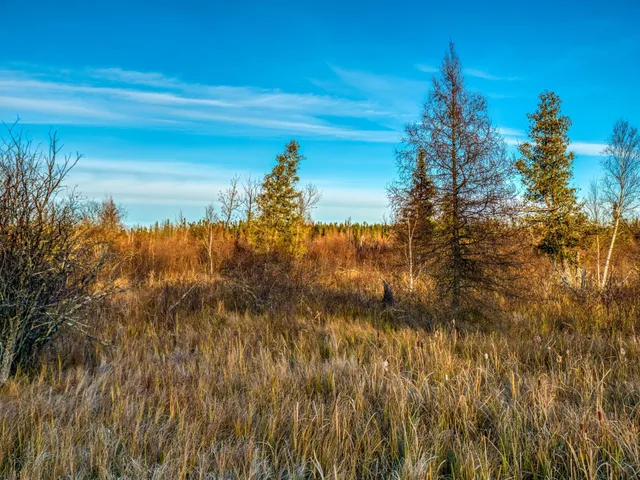 $68,000 | Xxxx Dora Lake Road, Northome, MN 56661