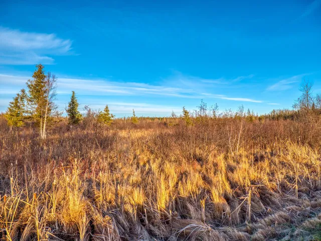 $68,000 | Xxxx Dora Lake Road, Northome, MN 56661