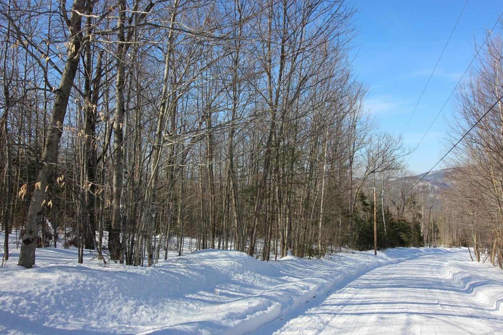 Tbd Tbd Holeman Road Rumford, ME 04276 - Photo 8 of 19 IMG_7849_1620x1080
