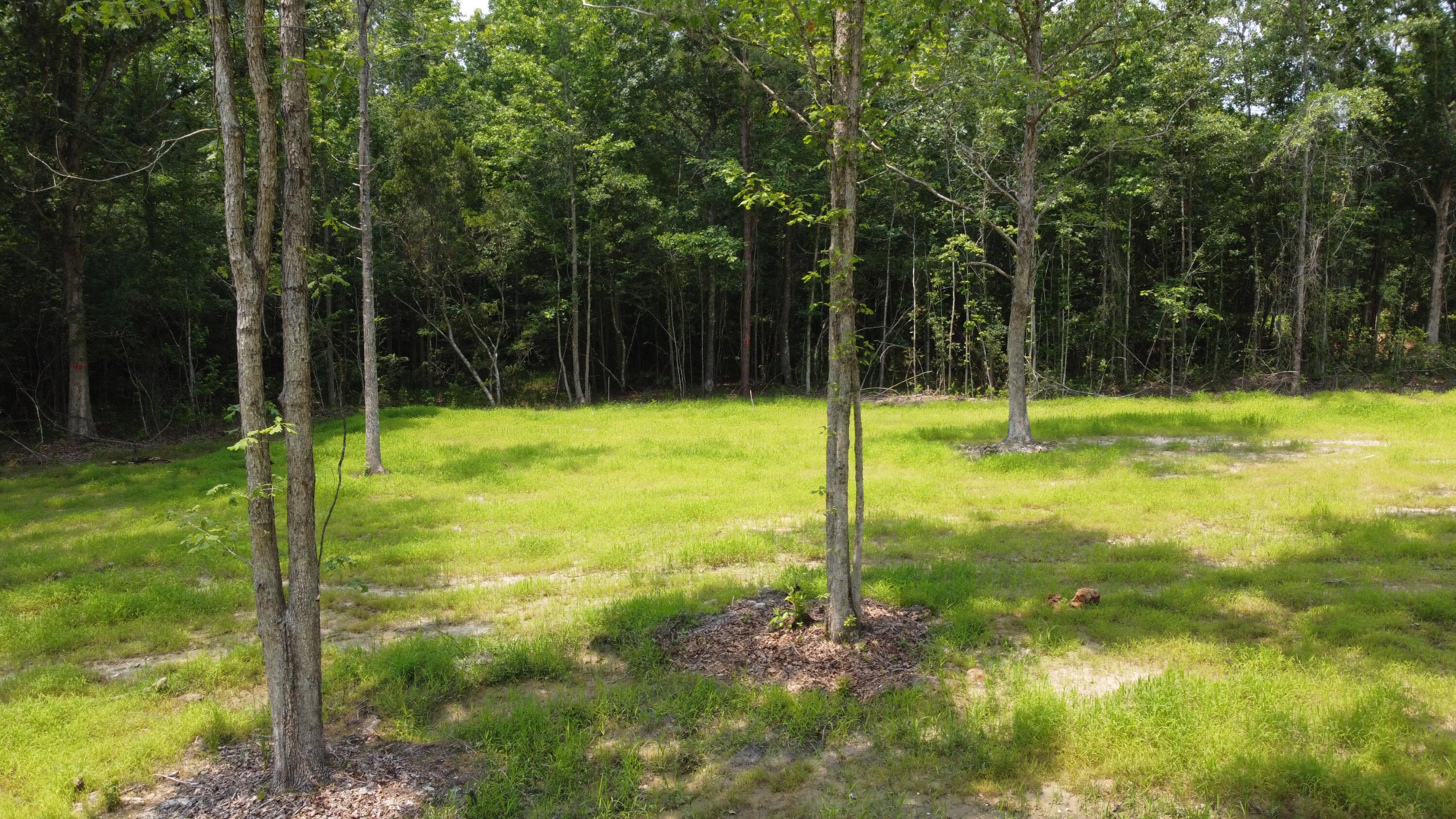 6 Steed Creek Road Huger, SC 29450 - Photo 12 of 15 DJI_0695