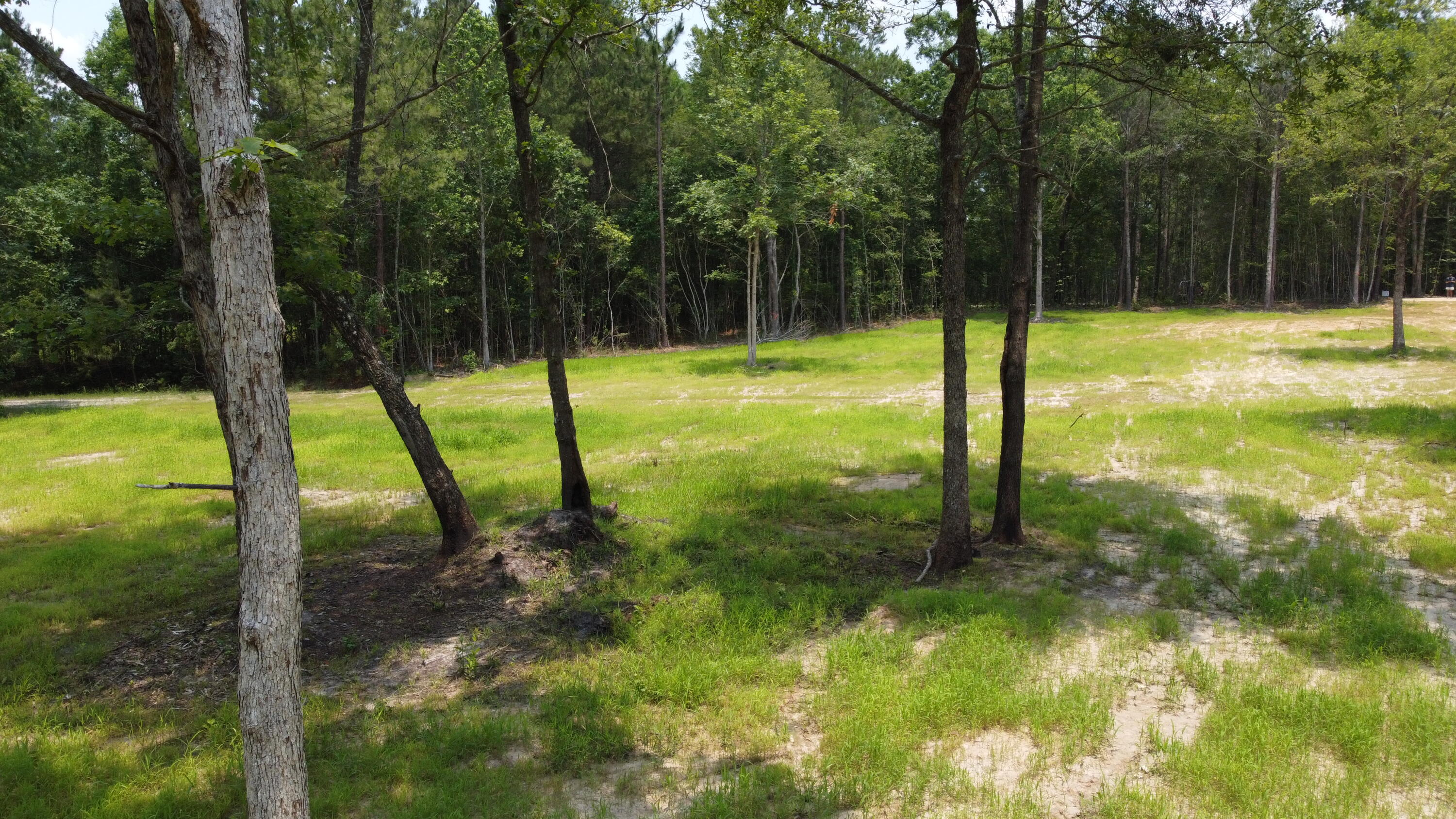 6 Steed Creek Road Huger, SC 29450 - Photo 13 of 15 DJI_0697