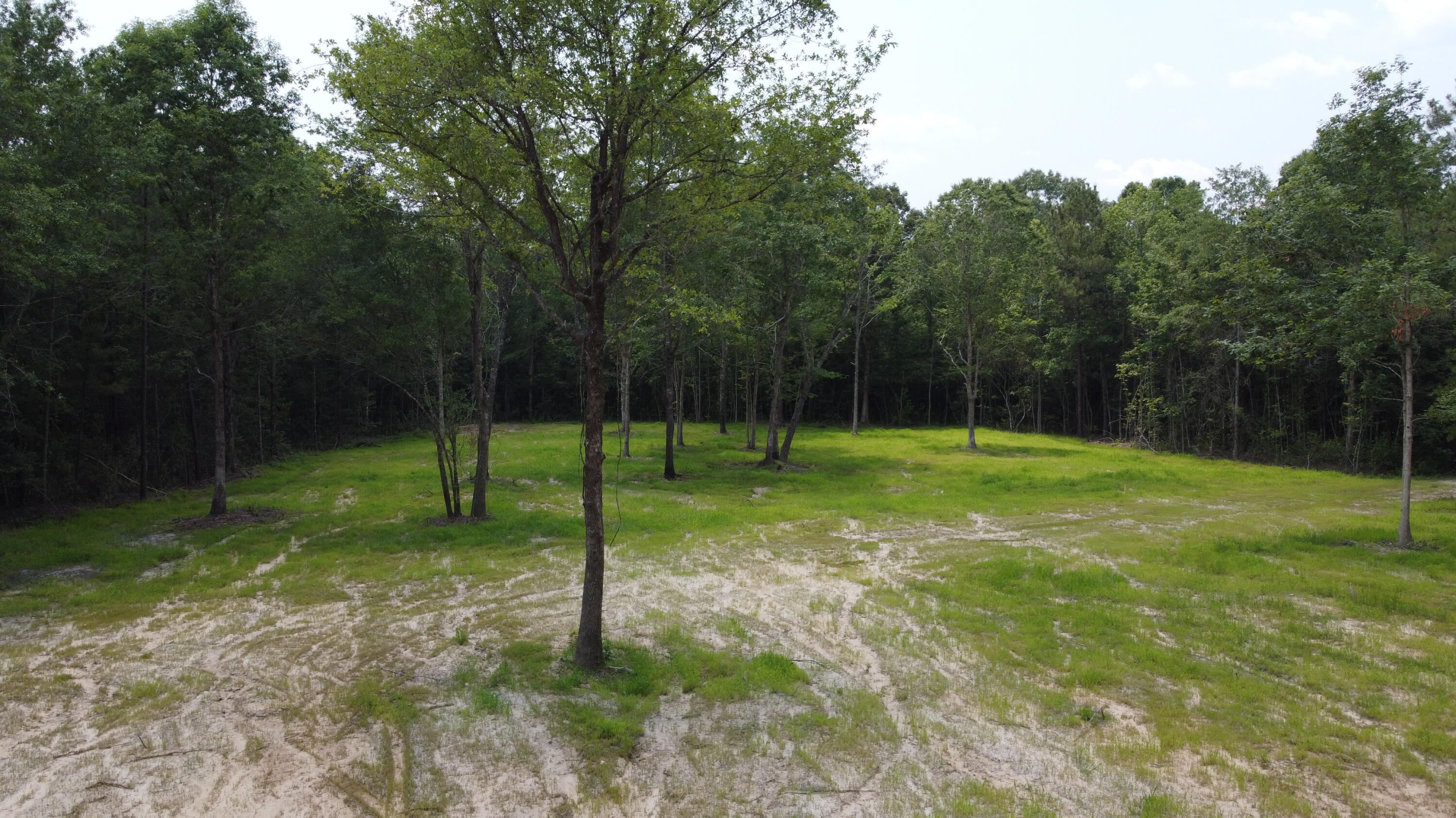 6 Steed Creek Road Huger, SC 29450 - Photo 15 of 15 DJI_0687