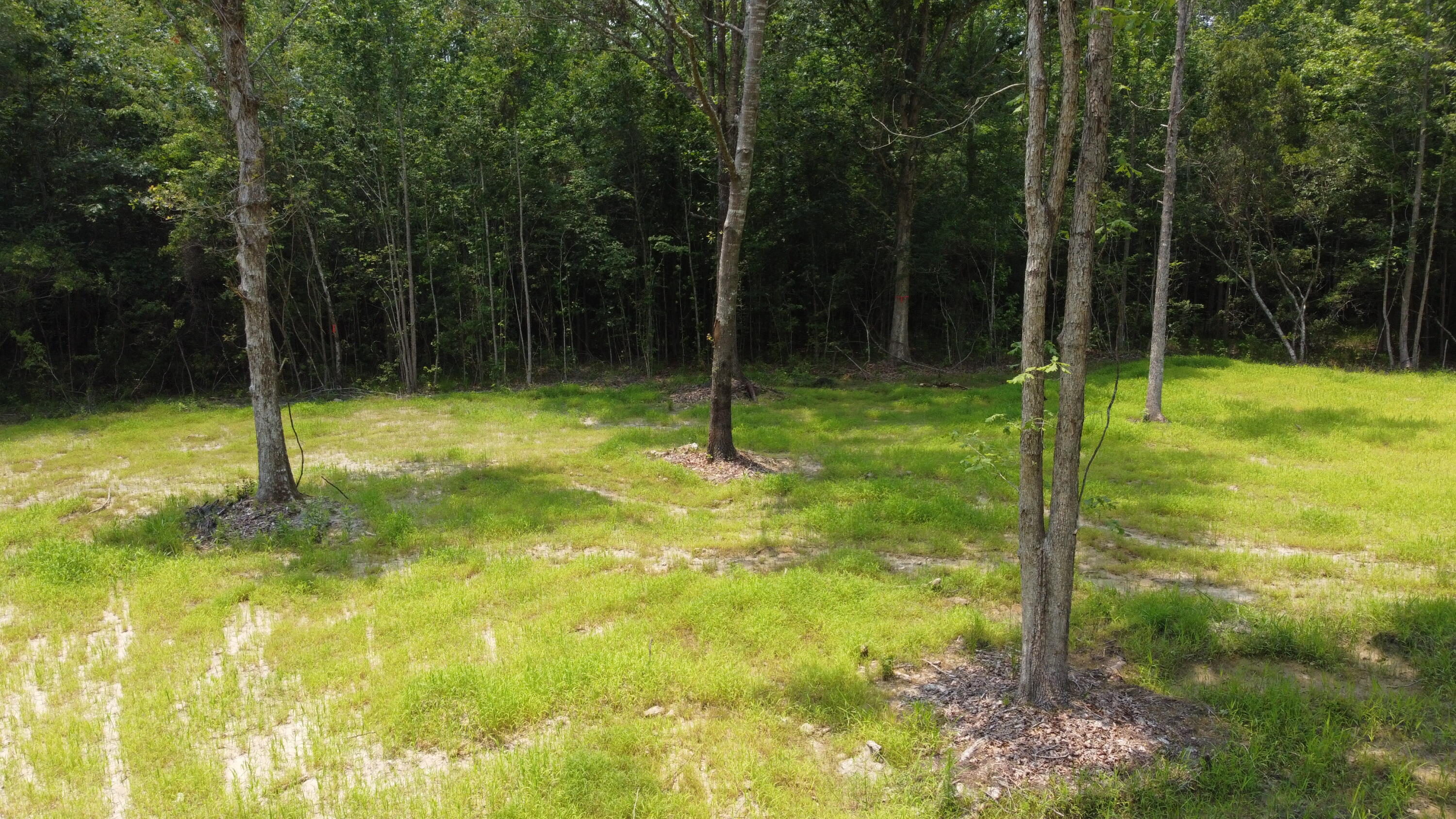 6 Steed Creek Road Huger, SC 29450 - Photo 3 of 15 DJI_0694