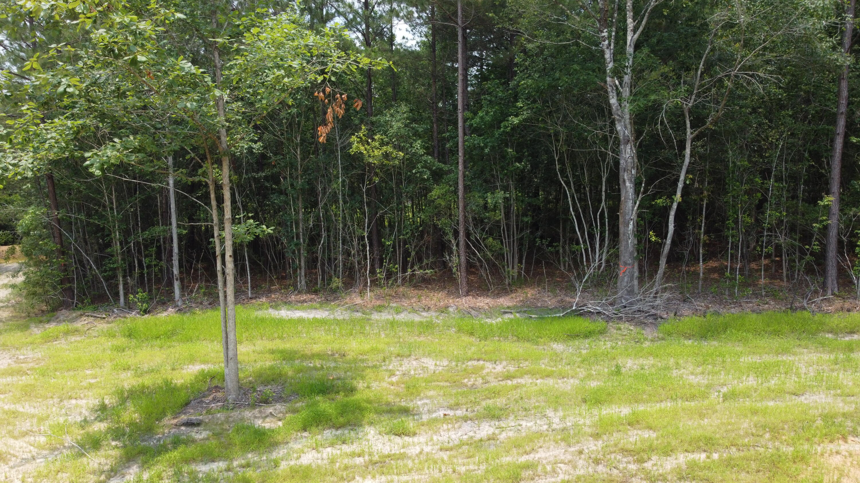 6 Steed Creek Road Huger, SC 29450 - Photo 4 of 15 DJI_0692