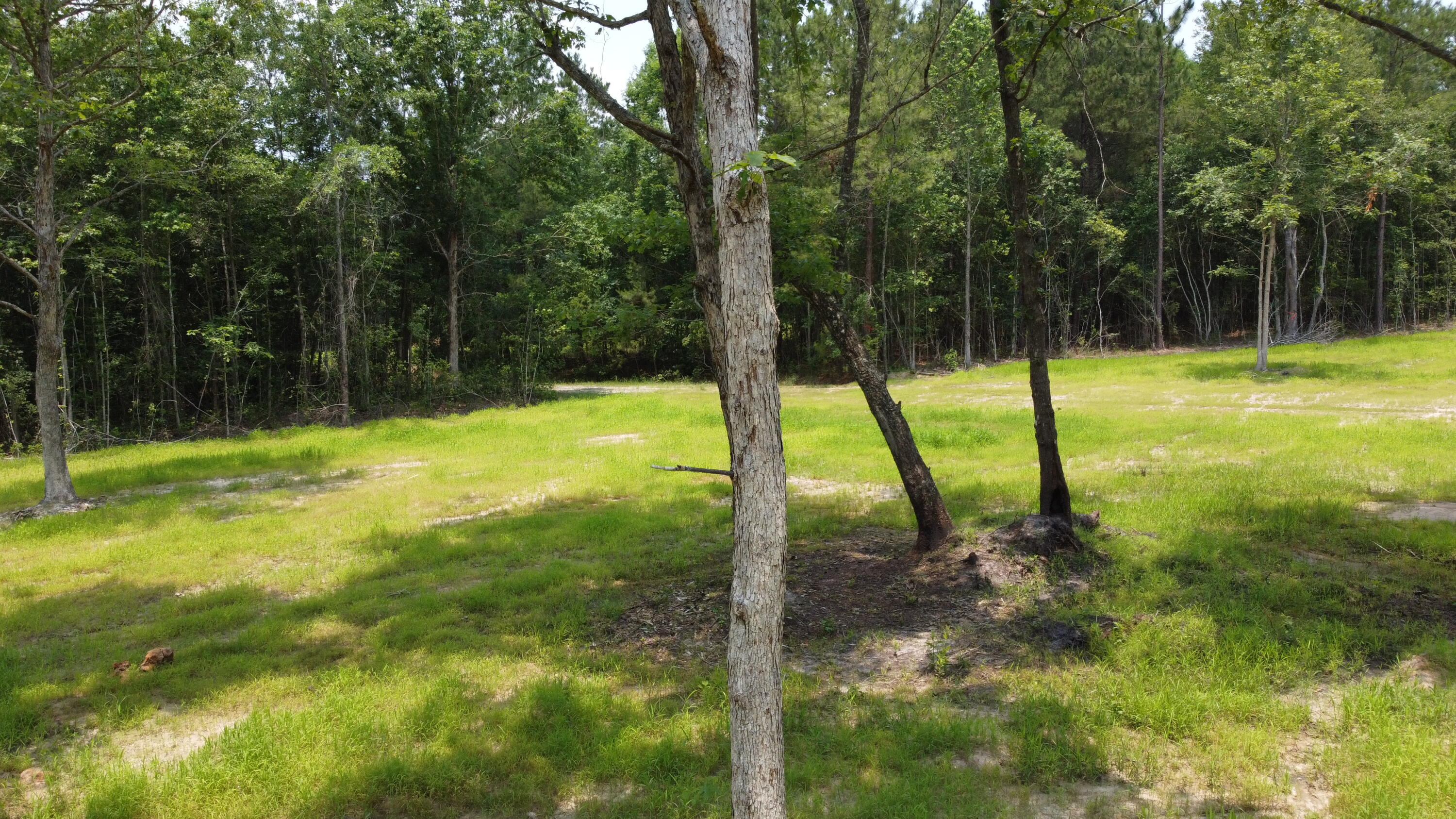 6 Steed Creek Road Huger, SC 29450 - Photo 5 of 15 DJI_0696