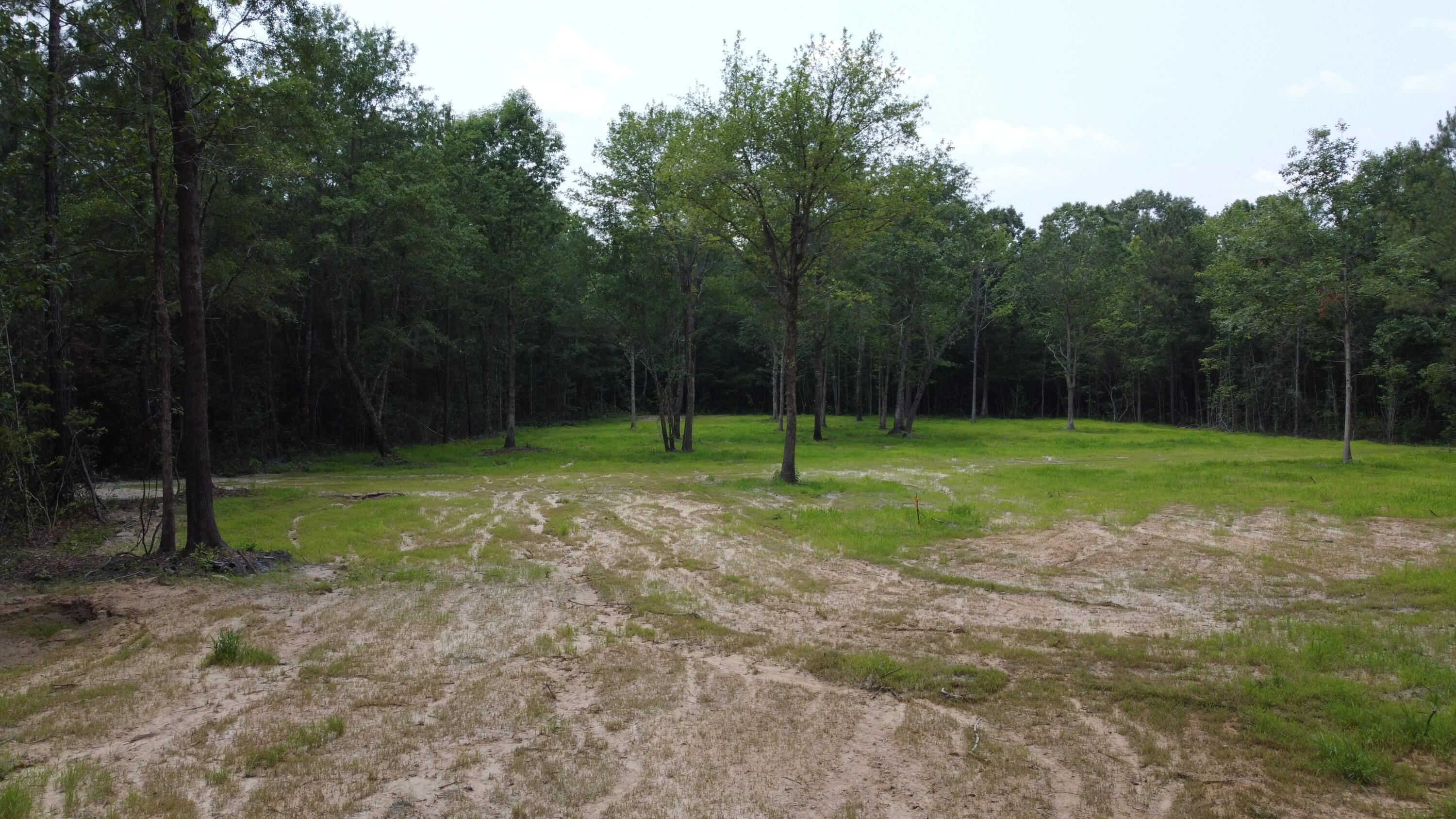 6 Steed Creek Road Huger, SC 29450 - Photo 7 of 15 DJI_0685