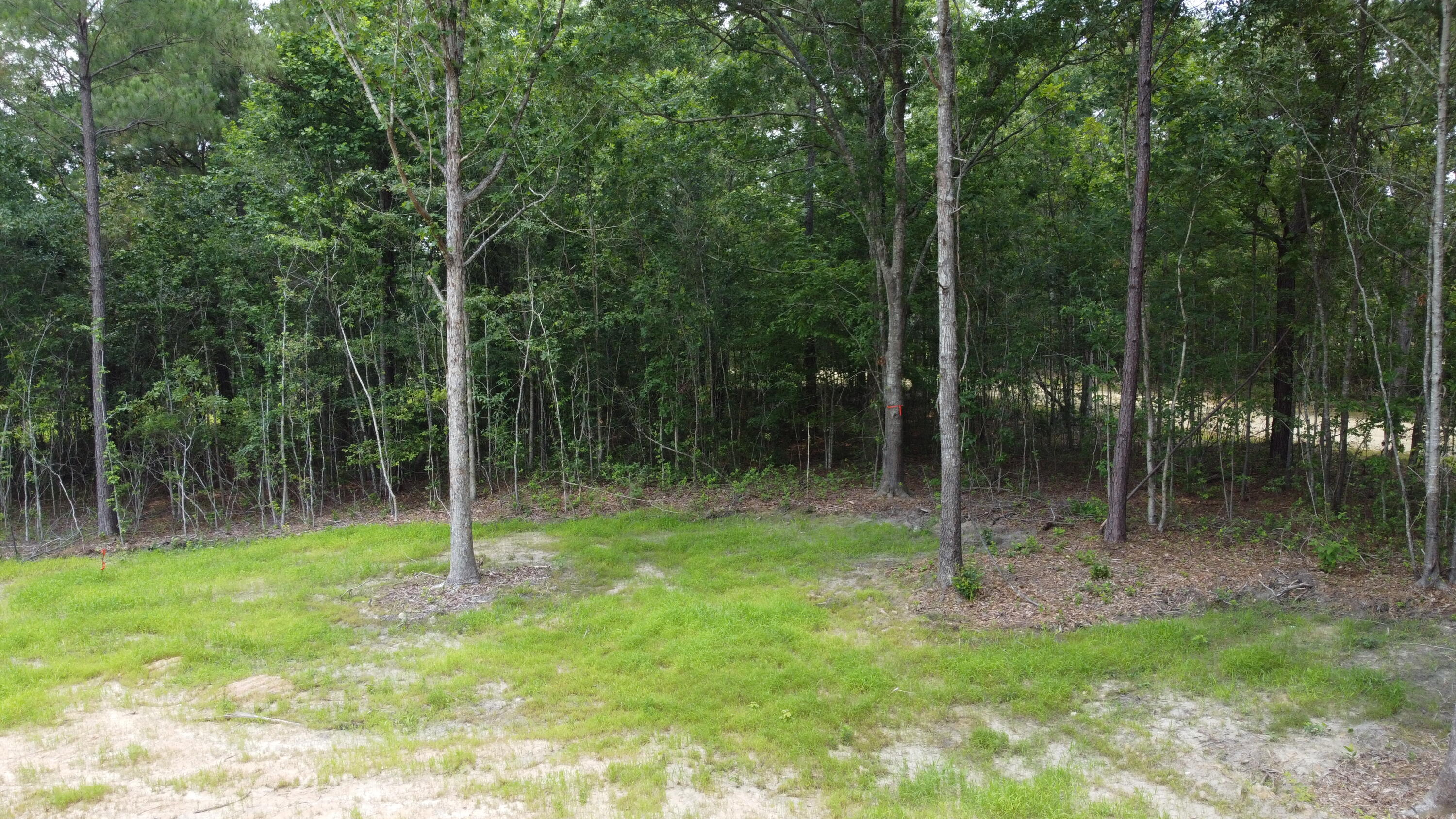 6 Steed Creek Road Huger, SC 29450 - Photo 9 of 15 DJI_0689