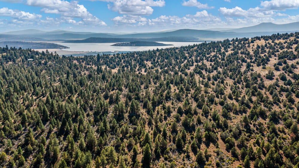 Lot 26 Simpson Canyon Road Klamath Falls, OR 97601 - Photo 6 of 33 SimpsonCanyonLand-29