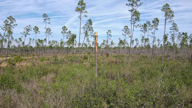 $44,000 | Lot 49 Circle Block Loop, Greenville, FL 32331