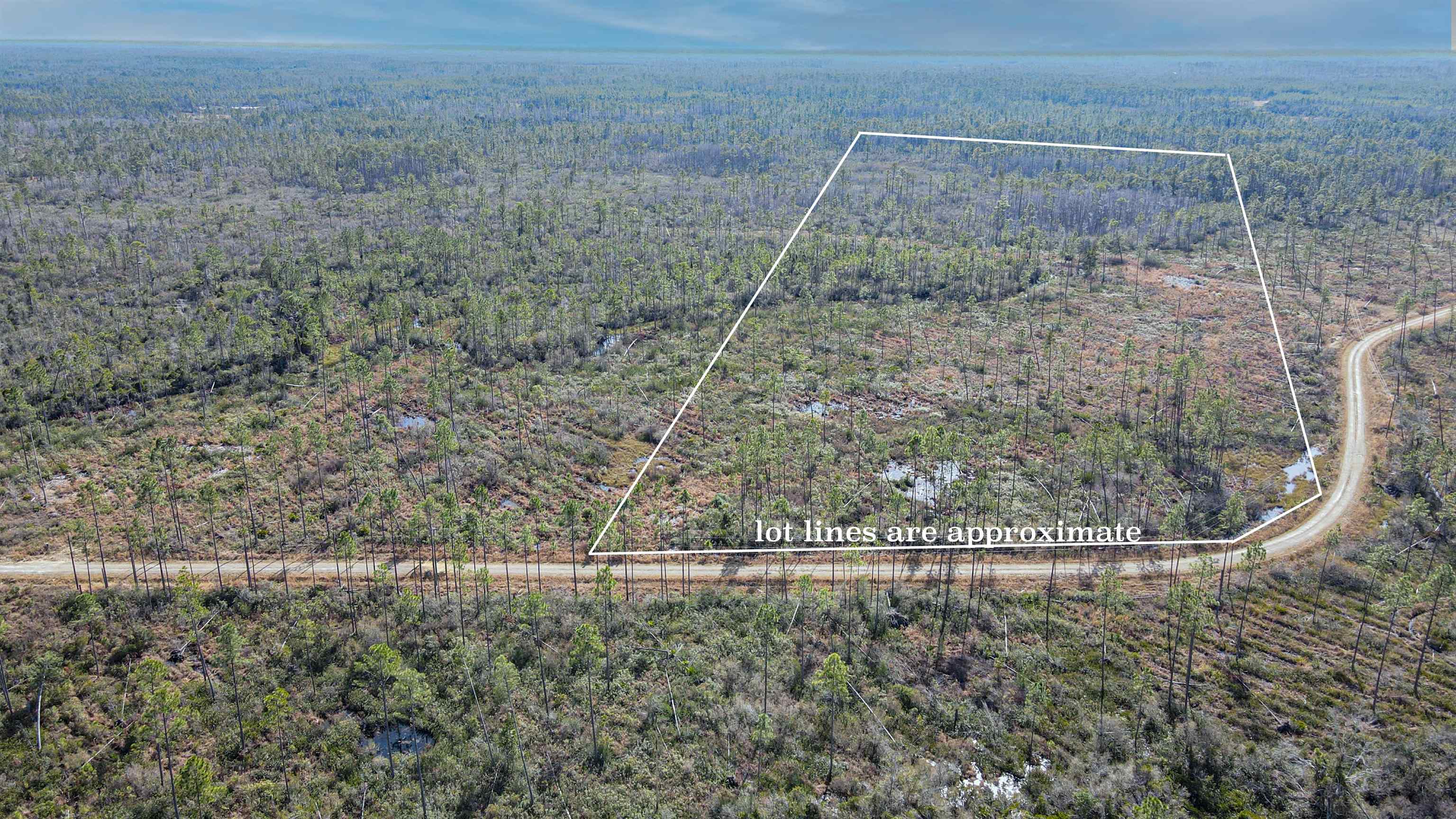 Lot 49 Circle Block Loop Greenville, FL 32331 - Photo 11 of 35