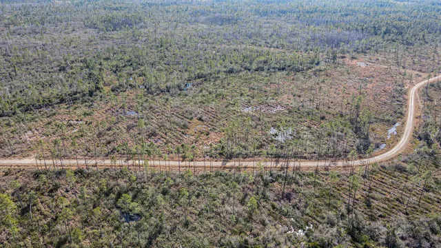 $44,000 | Lot 49 Circle Block Loop, Greenville, FL 32331