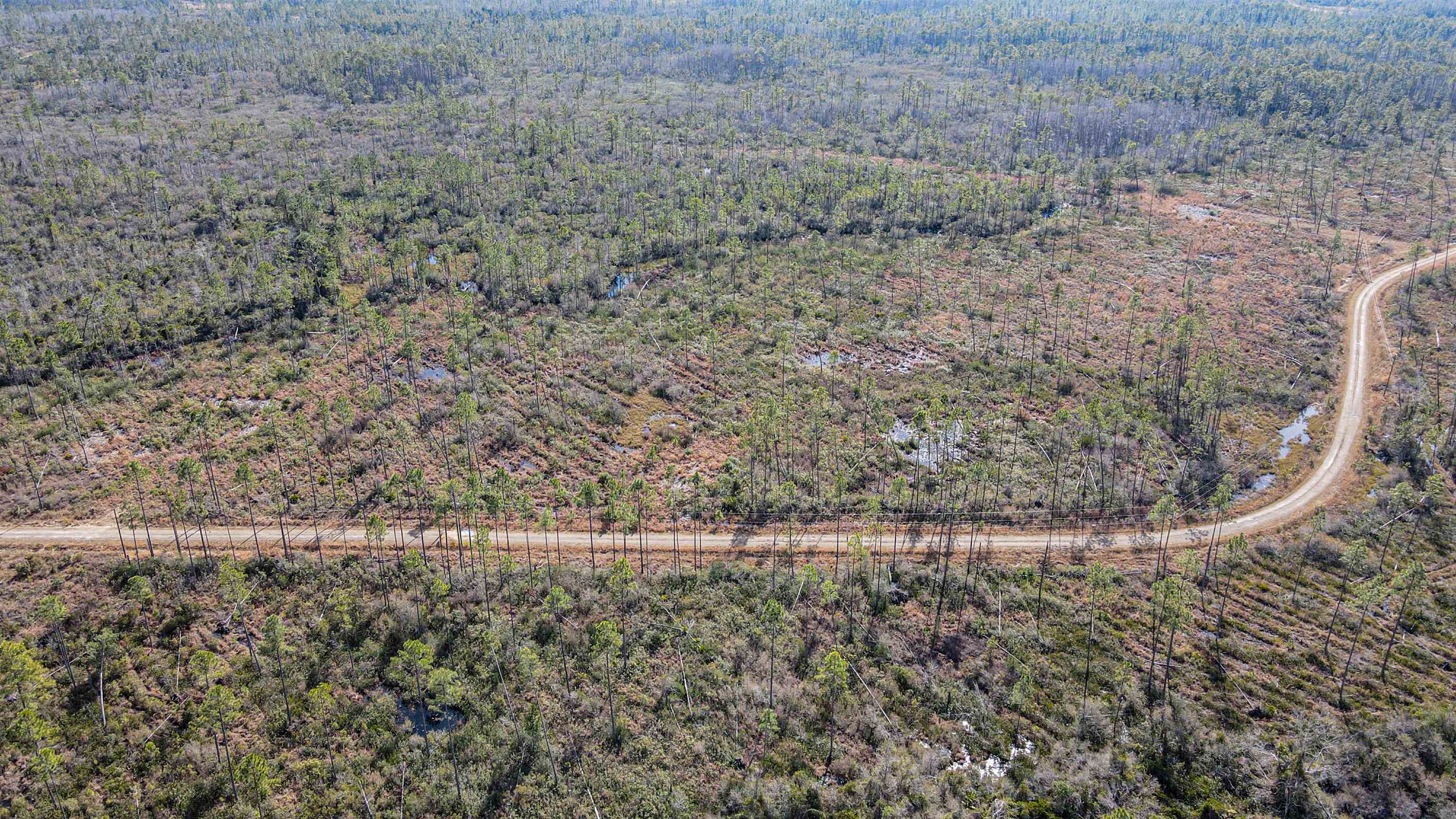 Lot 49 Circle Block Loop Greenville, FL 32331 - Photo 12 of 35