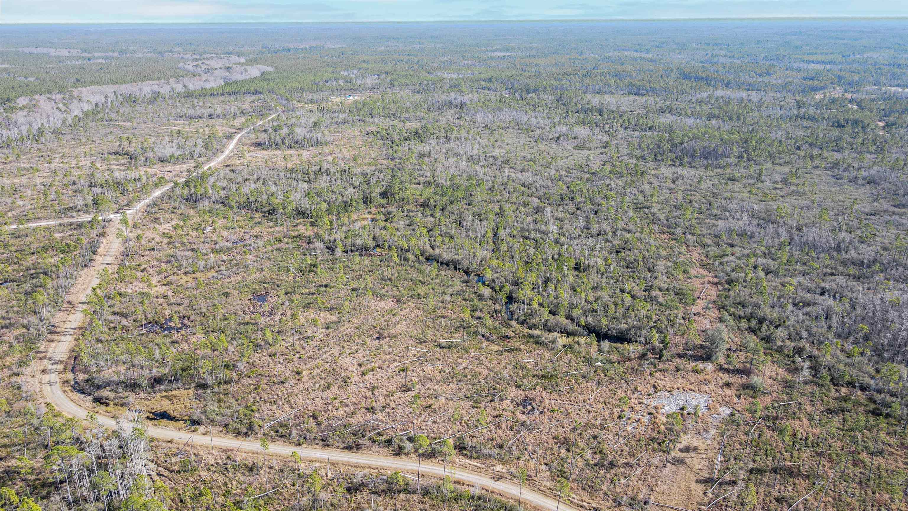 Lot 49 Circle Block Loop Greenville, FL 32331 - Photo 15 of 35