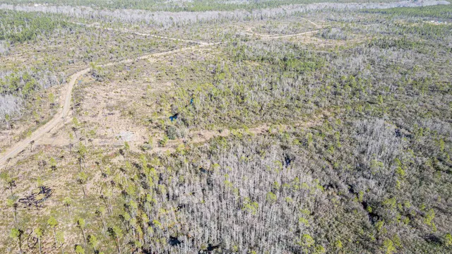 $44,000 | Lot 49 Circle Block Loop, Greenville, FL 32331