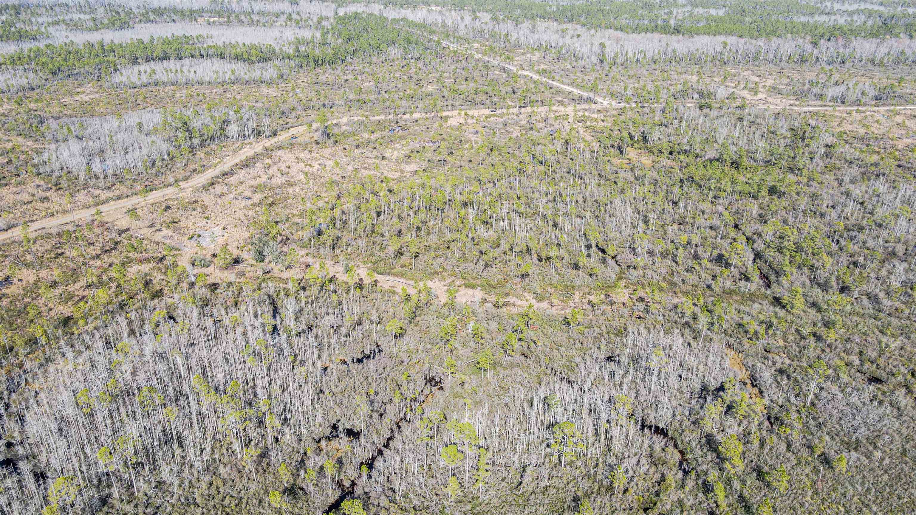 Lot 49 Circle Block Loop Greenville, FL 32331 - Photo 18 of 35