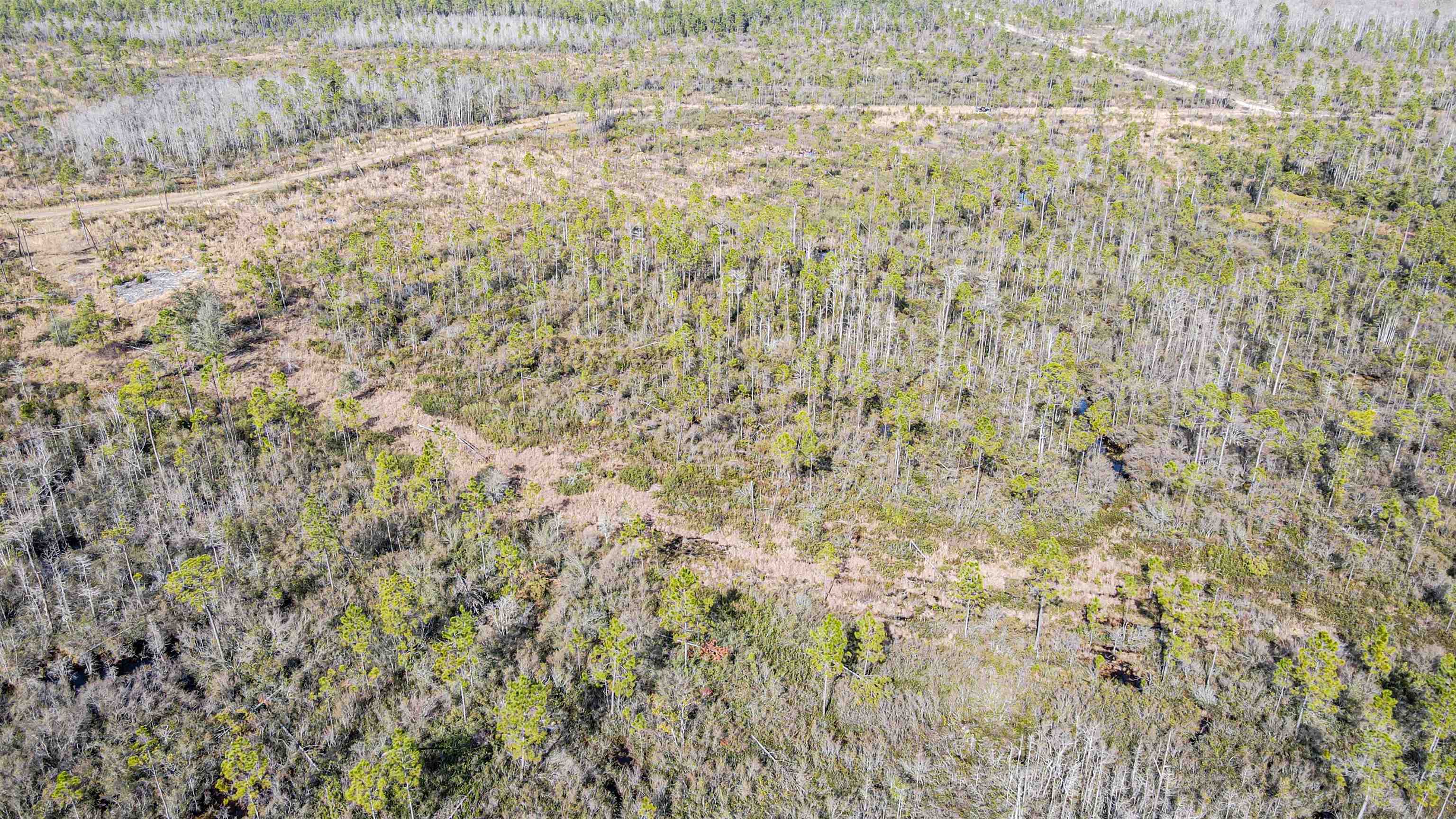 Lot 49 Circle Block Loop Greenville, FL 32331 - Photo 19 of 35