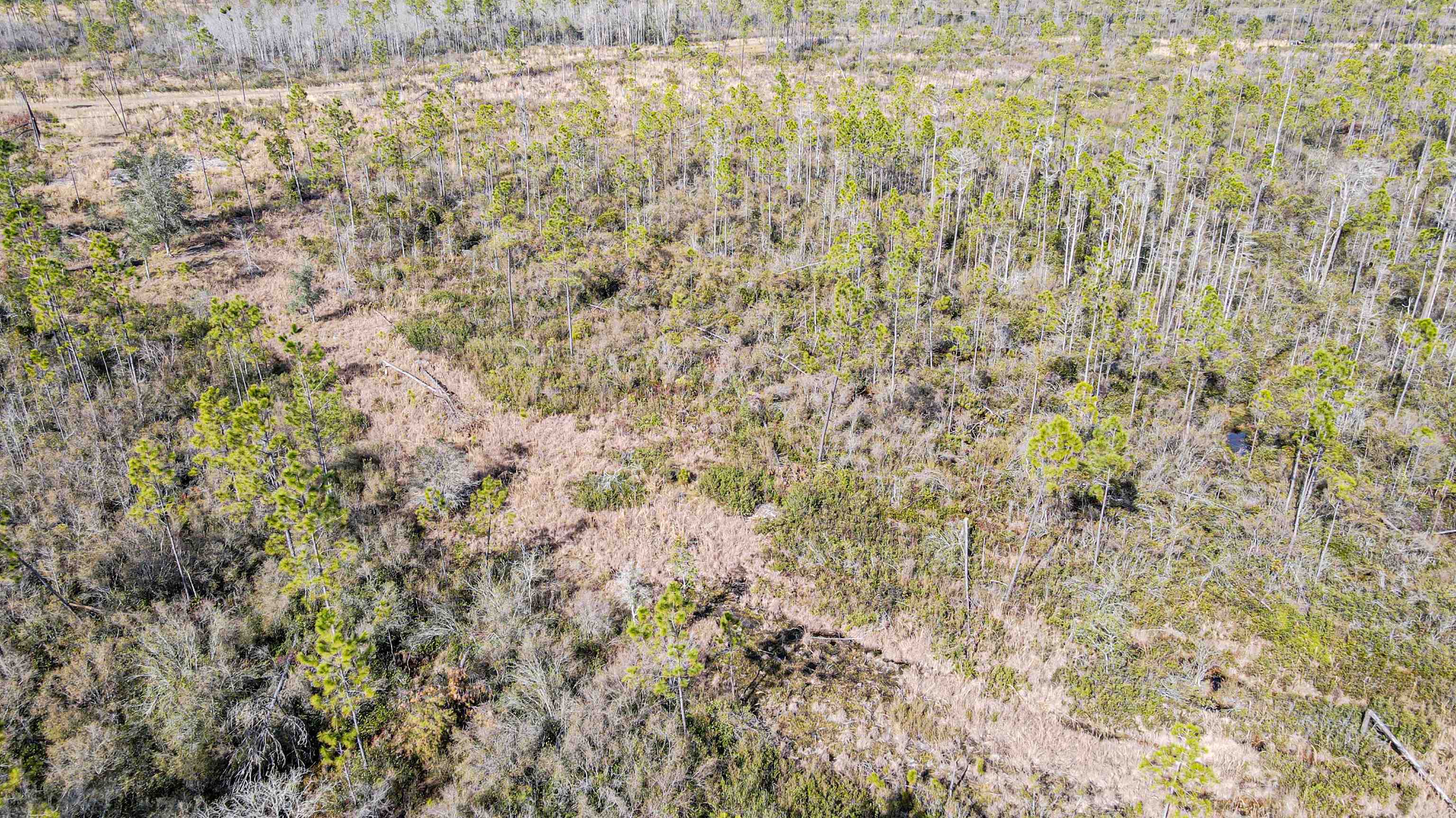 Lot 49 Circle Block Loop Greenville, FL 32331 - Photo 20 of 35