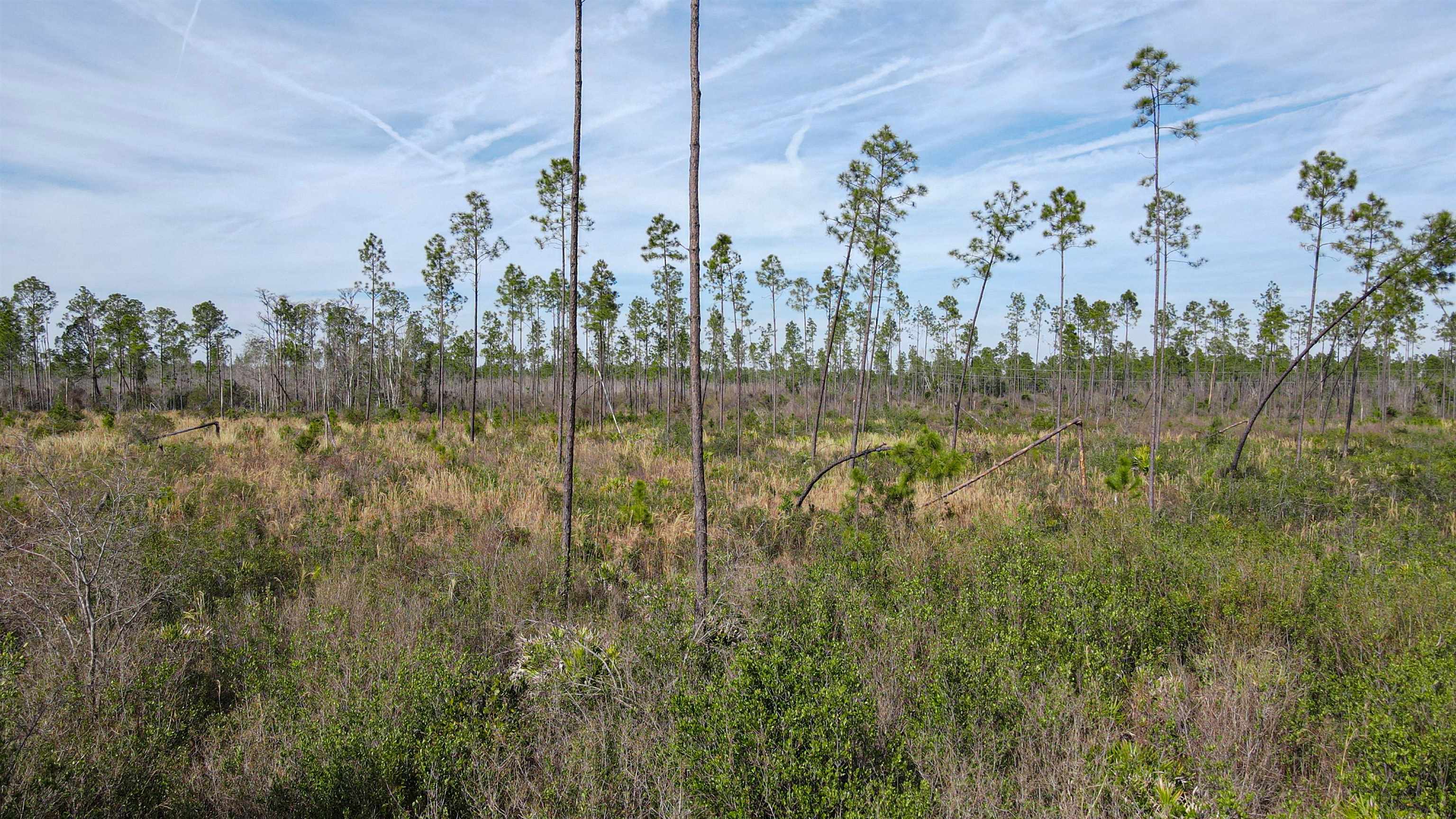 Lot 49 Circle Block Loop Greenville, FL 32331 - Photo 2 of 35