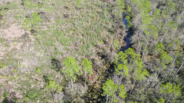 $44,000 | Lot 49 Circle Block Loop, Greenville, FL 32331