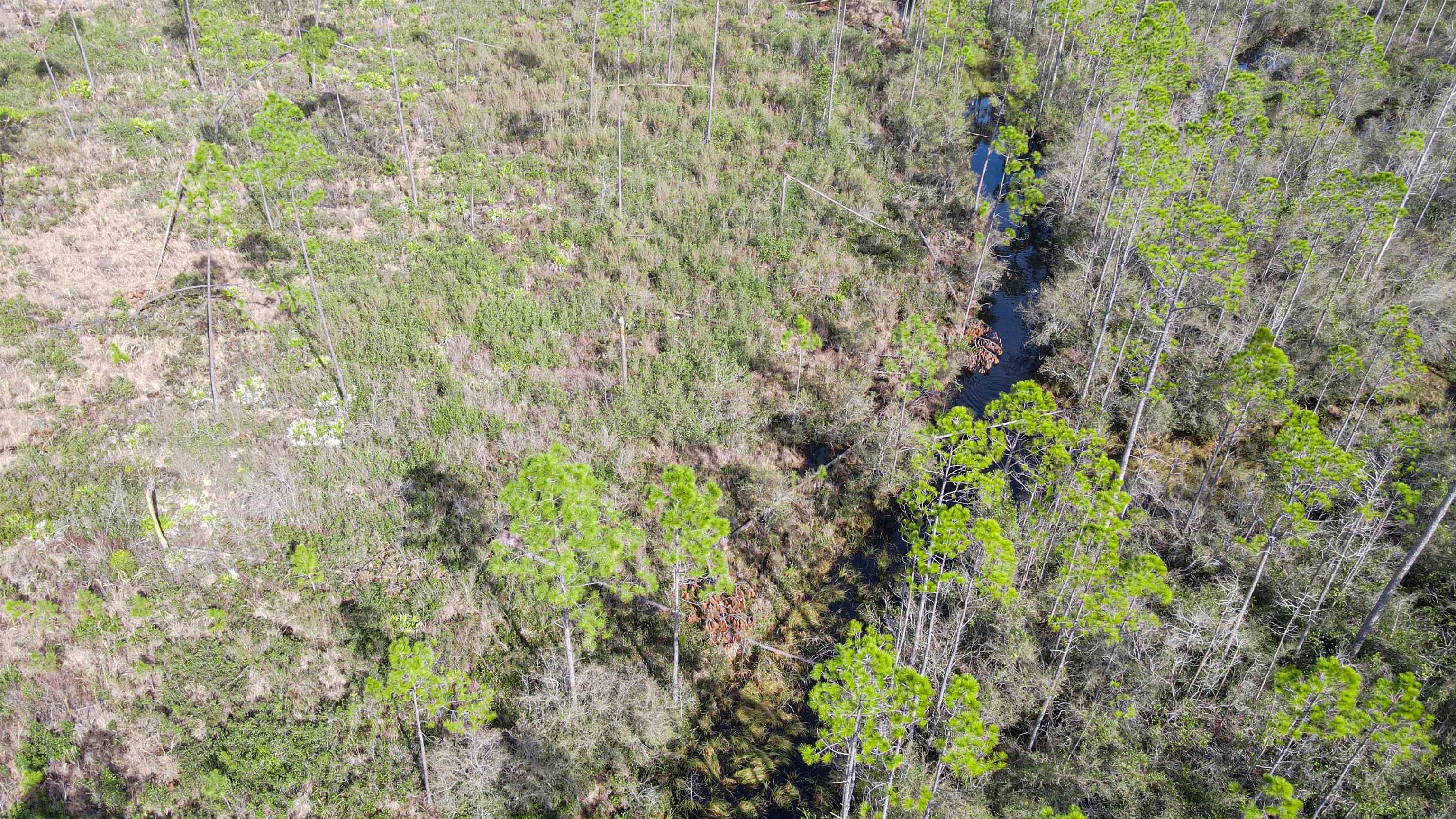 Lot 49 Circle Block Loop Greenville, FL 32331 - Photo 23 of 35