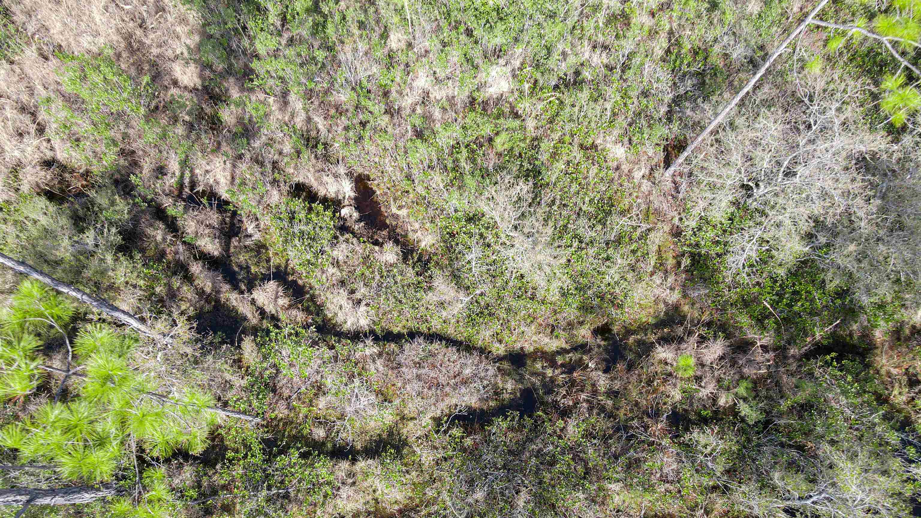 Lot 49 Circle Block Loop Greenville, FL 32331 - Photo 24 of 35