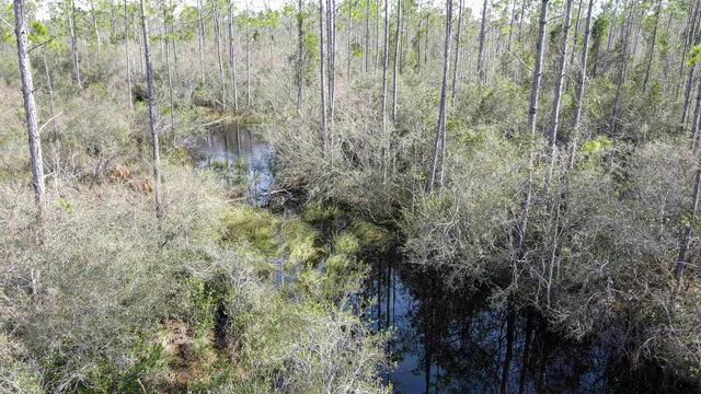 $44,000 | Lot 49 Circle Block Loop, Greenville, FL 32331