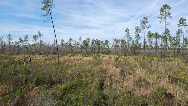 $42,000 | Lot 49 Circle Block Loop, Greenville, FL 32331