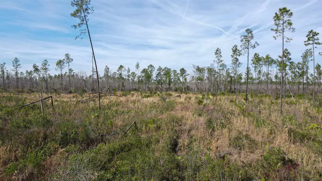 $44,000 | Lot 49 Circle Block Loop, Greenville, FL 32331