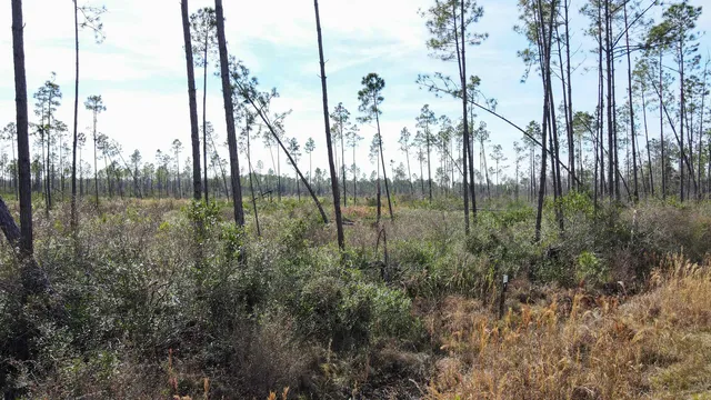 $44,000 | Lot 49 Circle Block Loop, Greenville, FL 32331