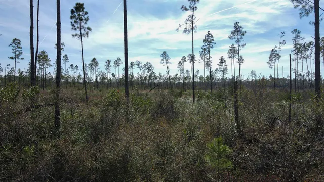 $44,000 | Lot 49 Circle Block Loop, Greenville, FL 32331