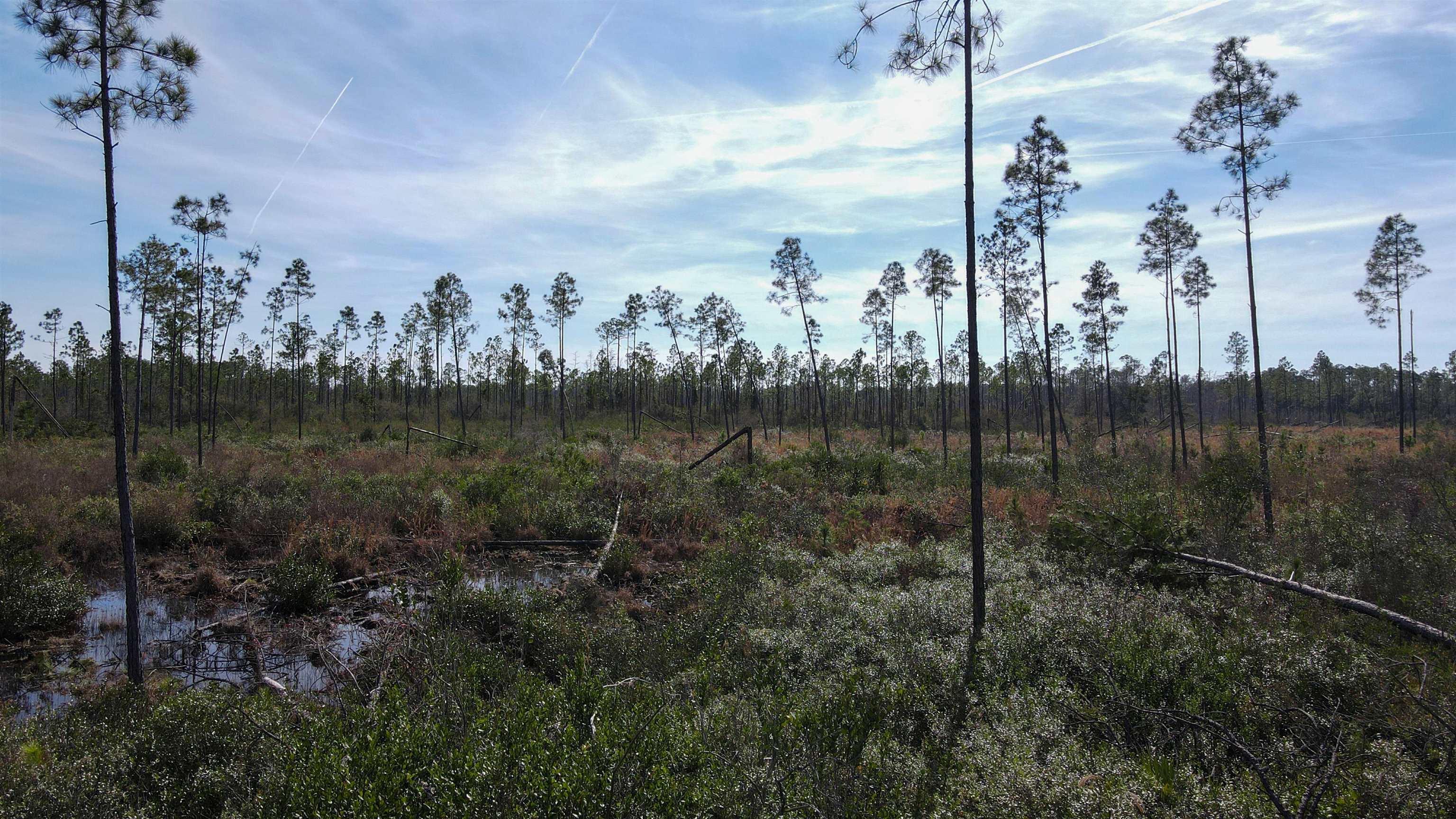 Lot 49 Circle Block Loop Greenville, FL 32331 - Photo 33 of 35