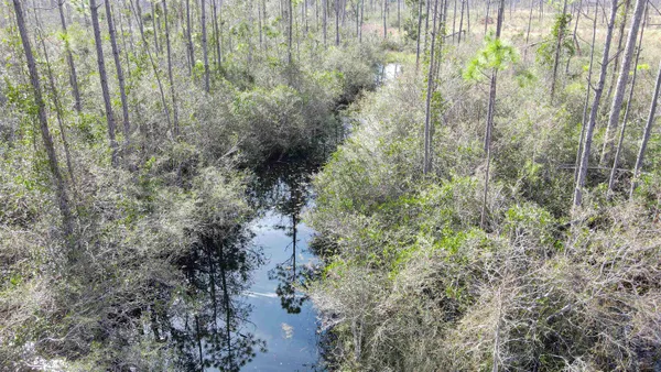 $42,000 | Lot 49 Circle Block Loop, Greenville, FL 32331