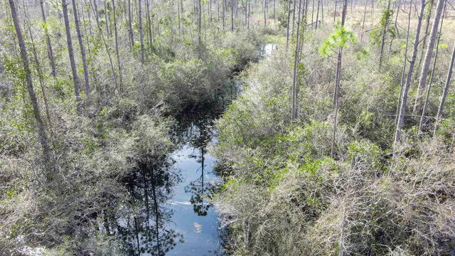 $44,000 | Lot 49 Circle Block Loop, Greenville, FL 32331