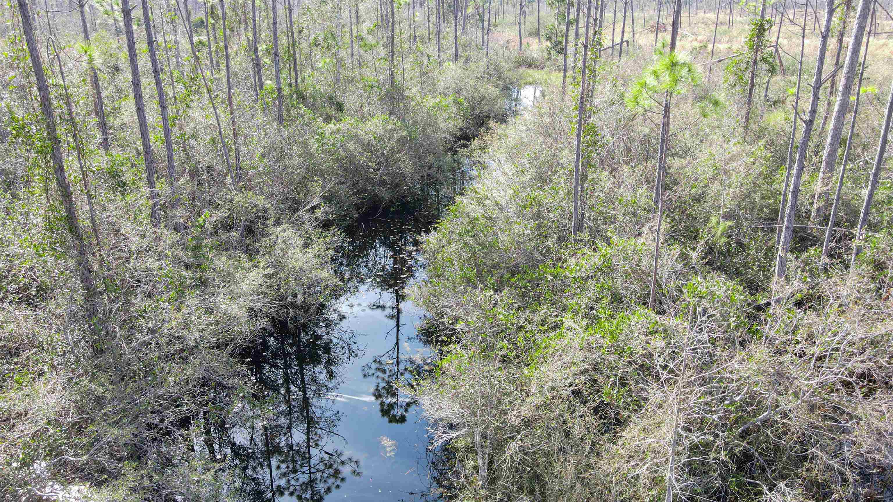 Lot 49 Circle Block Loop Greenville, FL 32331 - Photo 34 of 35