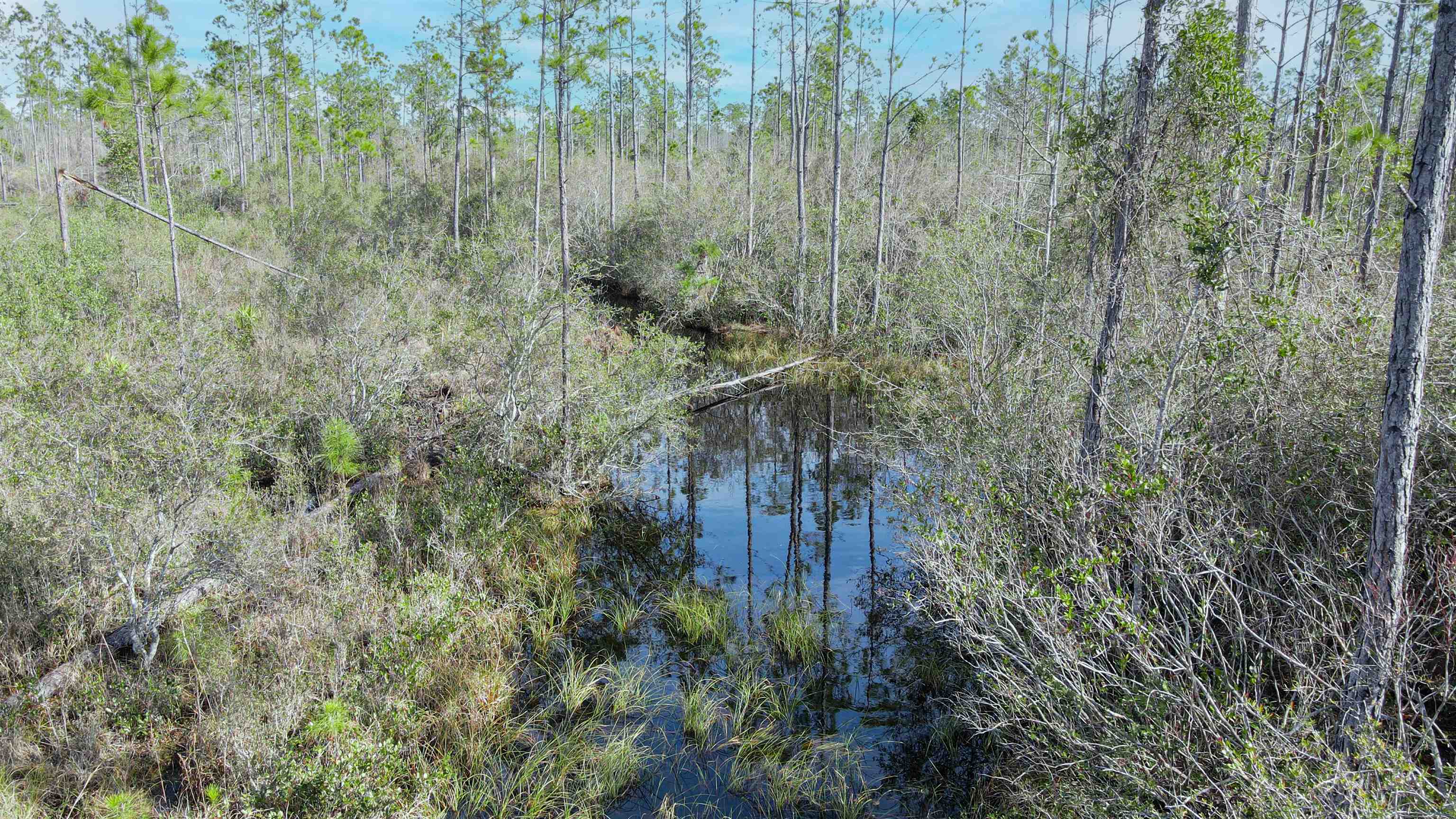 Lot 49 Circle Block Loop Greenville, FL 32331 - Photo 35 of 35