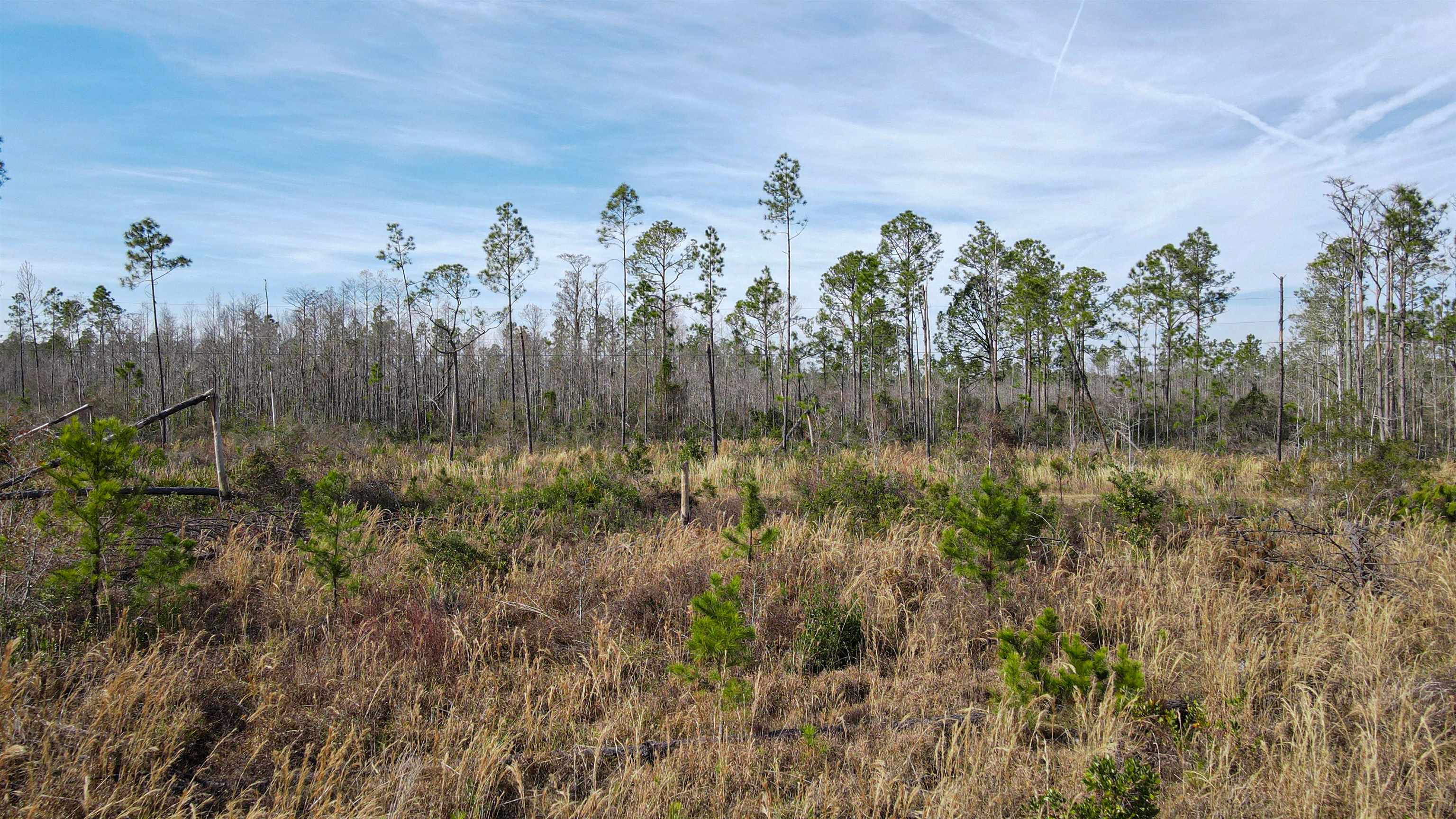 Lot 49 Circle Block Loop Greenville, FL 32331 - Photo 4 of 35